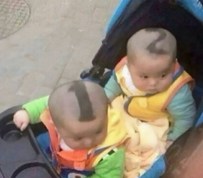 Absolutely Chaotic Memes From The “Absurd Posting” Page That May Leave You Questioning Things (50 Posts)