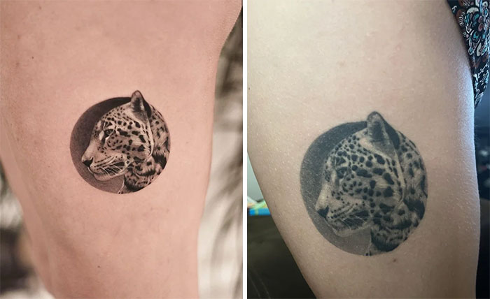 Aged tattoos showing changes over years, with a side-by-side comparison of a leopard tattoo fading over time.