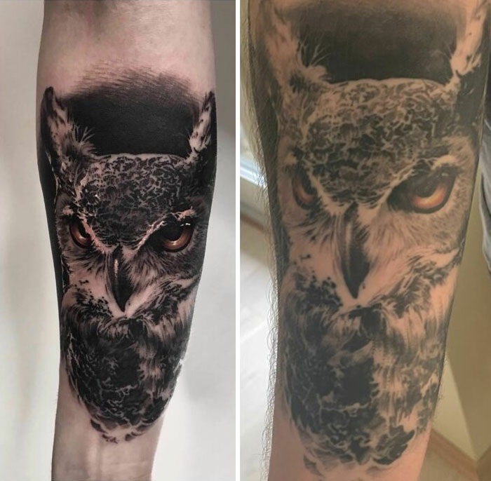 Aged owl tattoos on arm, showing faded details and color over time.