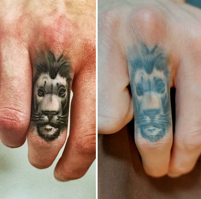 Aged tattoos of a lion on a finger, showing the fading and changes over time.
