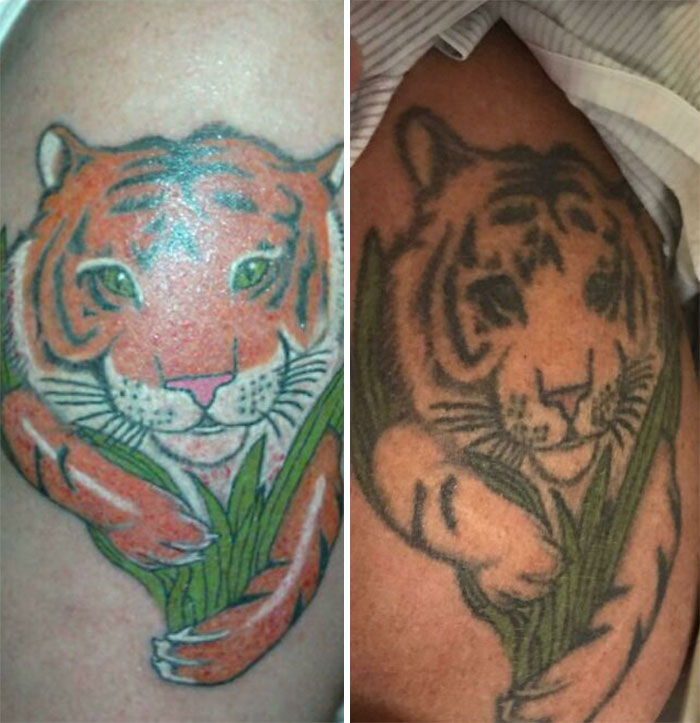 Tiger tattoo showing aging and fading after years.