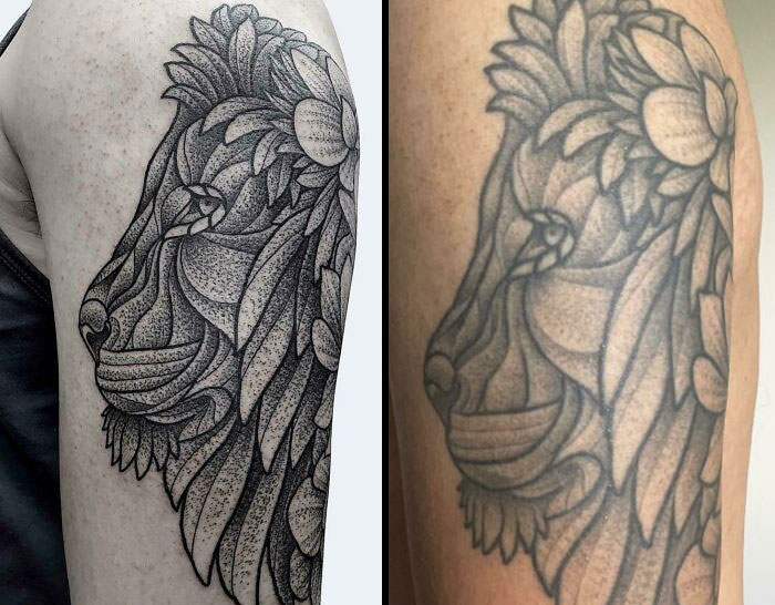 Lion tattoo on arm, showing aging effects over years.