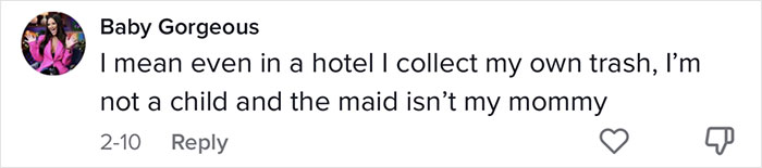 Airbnb Host Is Disgusted With Guest Who Didn't Clean After Themself In The Apartment, Gets Destroyed Online Airbnb Host Is Disgusted With Guest Who Didn't Clean After Themself In The Apartment, Gets Destroyed Online