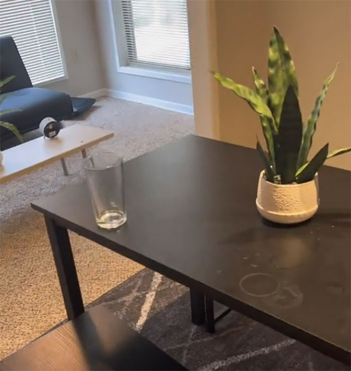 Airbnb Host Is Disgusted With Guest Who Didn't Clean After Themself In The Apartment, Gets Destroyed Online Airbnb Host Is Disgusted With Guest Who Didn't Clean After Themself In The Apartment, Gets Destroyed Online