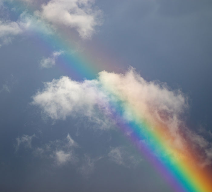 36 April Fun Facts To Celebrate Nature Awakening