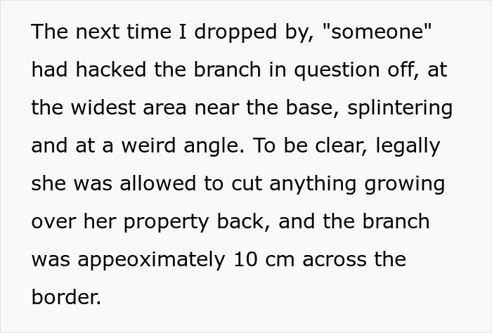 "By The Time This Problem Becomes Obvious, We Will Be Long Gone": Woman Plants Mint In Her Partner's Family's Garden To Get Revenge On Rude Neighbor "By The Time This Problem Becomes Obvious, We Will Be Long Gone": Woman Plants Mint In Her Partner's Family's Garden To Get Revenge On Rude Neighbor