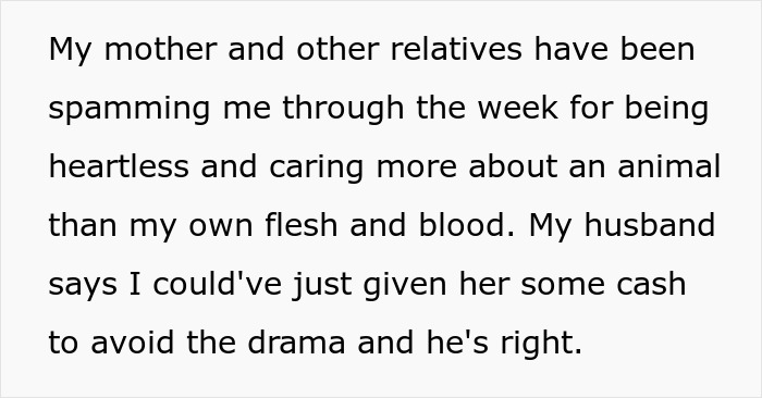 Woman Goes Off On Sister, Calls Her A &ldquo;Crazy Cat Lady That's Going To End Up Alone&rdquo; For Refusing To Help Her Out Financially