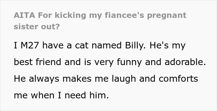 Man Gives His Pregnant SIL The Boot Upon Finding Out She Abandoned His Cat On The Streets Man Gives His Pregnant SIL The Boot Upon Finding Out She Abandoned His Cat On The Streets