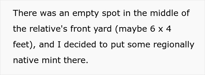"By The Time This Problem Becomes Obvious, We Will Be Long Gone": Woman Plants Mint In Her Partner's Family's Garden To Get Revenge On Rude Neighbor "By The Time This Problem Becomes Obvious, We Will Be Long Gone": Woman Plants Mint In Her Partner's Family's Garden To Get Revenge On Rude Neighbor
