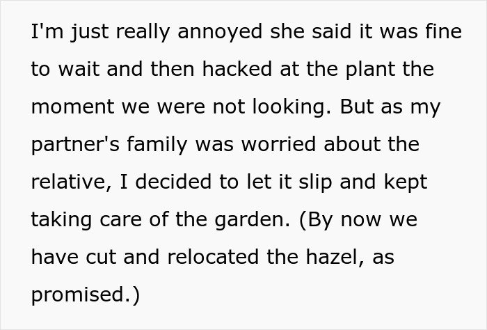 "By The Time This Problem Becomes Obvious, We Will Be Long Gone": Woman Plants Mint In Her Partner's Family's Garden To Get Revenge On Rude Neighbor "By The Time This Problem Becomes Obvious, We Will Be Long Gone": Woman Plants Mint In Her Partner's Family's Garden To Get Revenge On Rude Neighbor