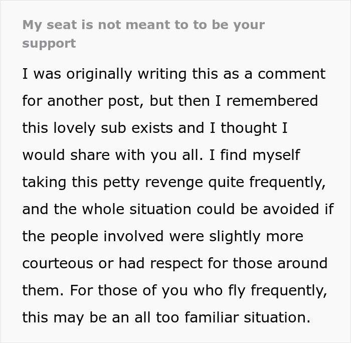 Netizens Applaud This Plane Passenger For Coming Up With The Perfect Revenge On People Who Keep Pulling On Their Seat When Standing Up