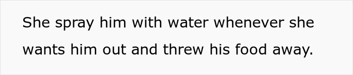 Man Gives His Pregnant SIL The Boot Upon Finding Out She Abandoned His Cat On The Streets Man Gives His Pregnant SIL The Boot Upon Finding Out She Abandoned His Cat On The Streets