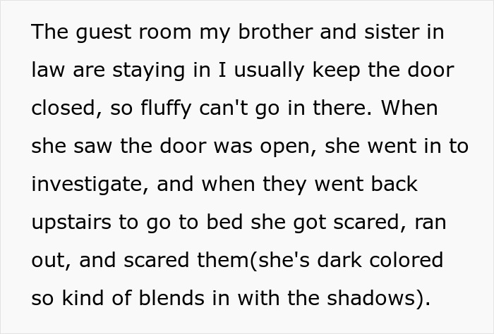 Brother And SIL Come To Visit But Are Upset The Homeowner’s Cat Is Free To Walk Around The House As They Get Startled By It Brother And SIL Come To Visit But Are Upset The Homeowner’s Cat Is Free To Walk Around The House As They Get Startled By It