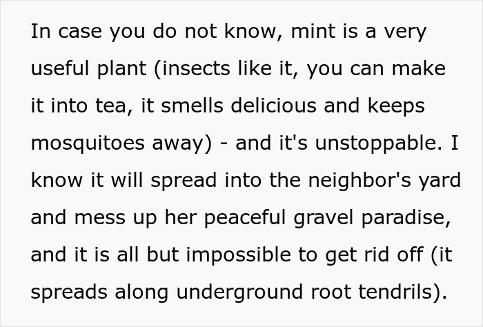 "By The Time This Problem Becomes Obvious, We Will Be Long Gone": Woman Plants Mint In Her Partner's Family's Garden To Get Revenge On Rude Neighbor "By The Time This Problem Becomes Obvious, We Will Be Long Gone": Woman Plants Mint In Her Partner's Family's Garden To Get Revenge On Rude Neighbor