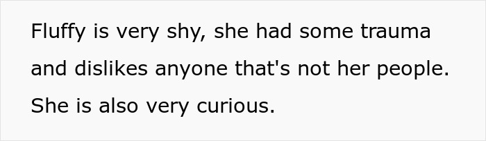 Brother And SIL Come To Visit But Are Upset The Homeowner’s Cat Is Free To Walk Around The House As They Get Startled By It Brother And SIL Come To Visit But Are Upset The Homeowner’s Cat Is Free To Walk Around The House As They Get Startled By It