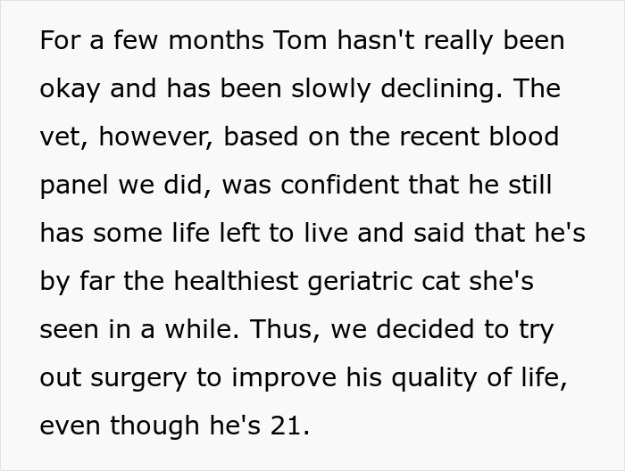 Woman Goes Off On Sister, Calls Her A &ldquo;Crazy Cat Lady That's Going To End Up Alone&rdquo; For Refusing To Help Her Out Financially