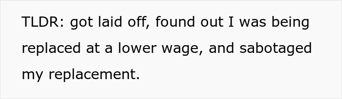 "He Looked Extremely Shocked When I Told Him My Wage": Boss Replaces Two People With One Person Who's Paid Less, Gets Upset When He Quits On The First Day