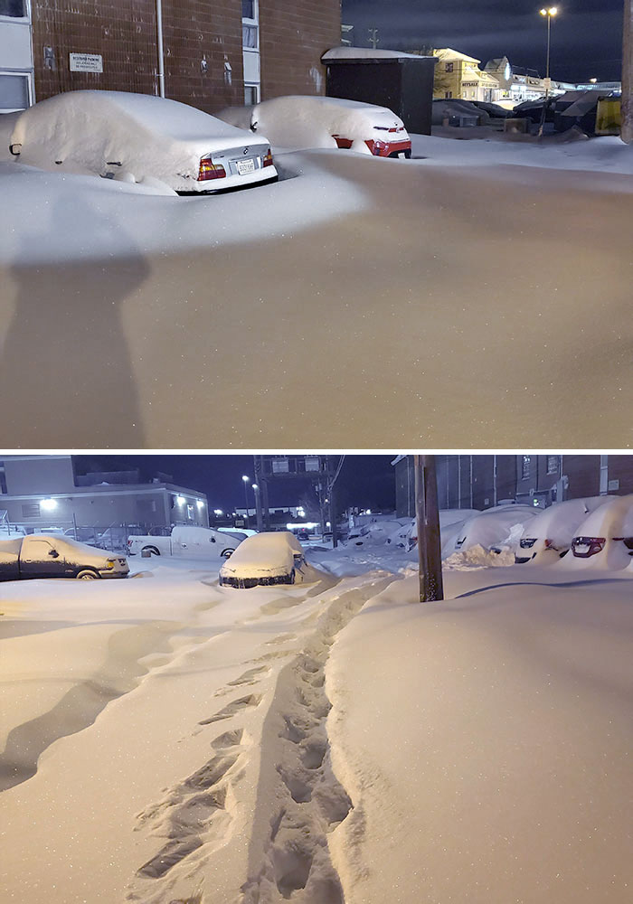 My Boss Told Me To At Least Try Shoveling Out And Come In Today. Red Car Is Mine. Saskatoon, Saskatchewan, Canada