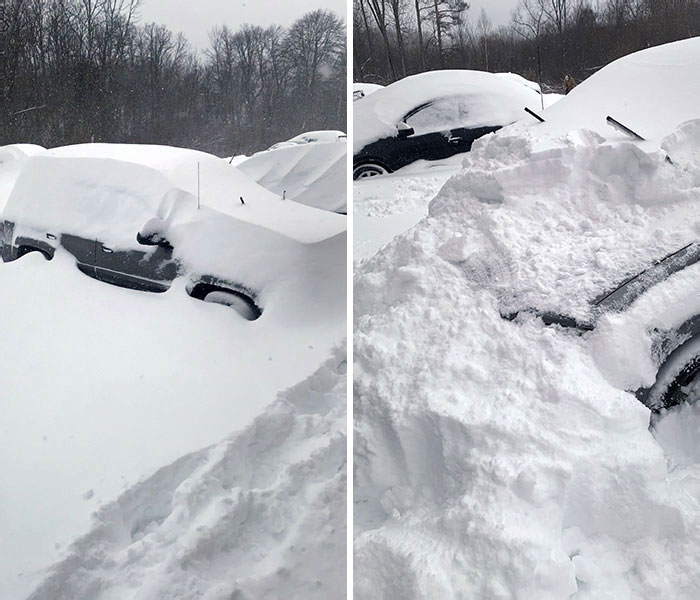 Boss Told Me I Have To Come Into Work Because They Need Me