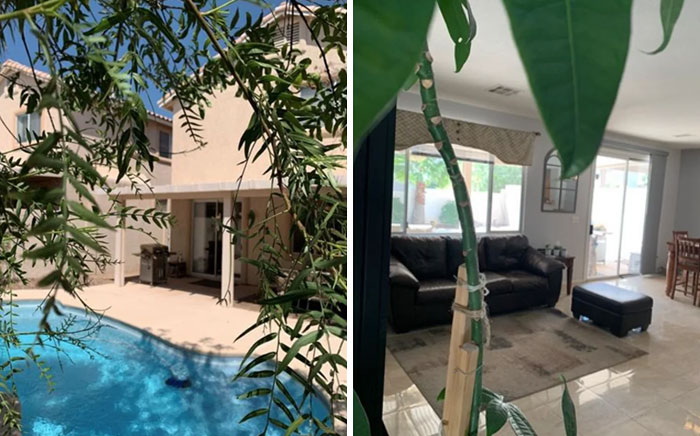 Seriously! Stop It! You're Selling A House...not Photos At A Community Art Show?!?!?