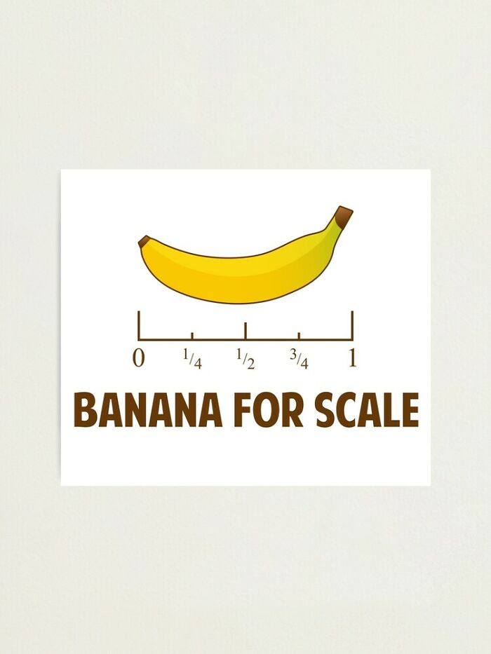 Banana For Scale