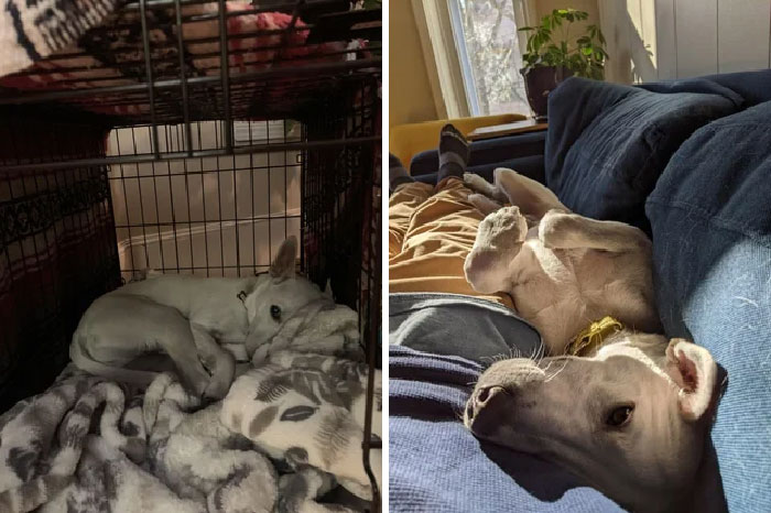 De chico deprimido a tonto mimoso