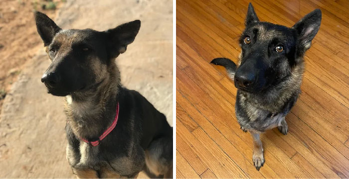 Starving, Three States Away, A Gun Shot Wound & Amputation Before & After A Little Over 6 Months