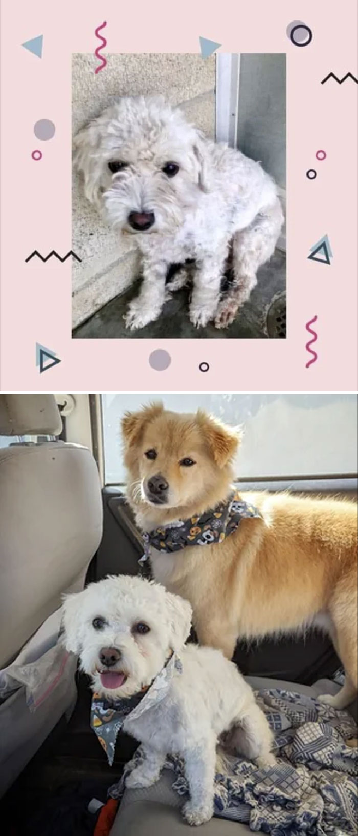 What A Difference Three Weeks Makes