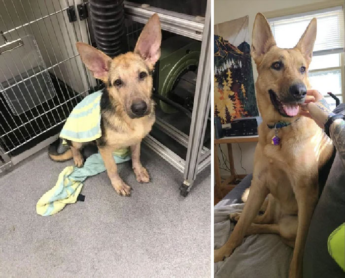 Almost To Our 2nd Gotcha Day!