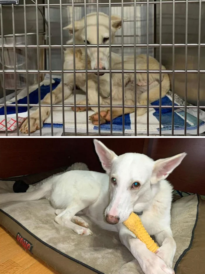 Natasha Has Been With Me For Five Months Today