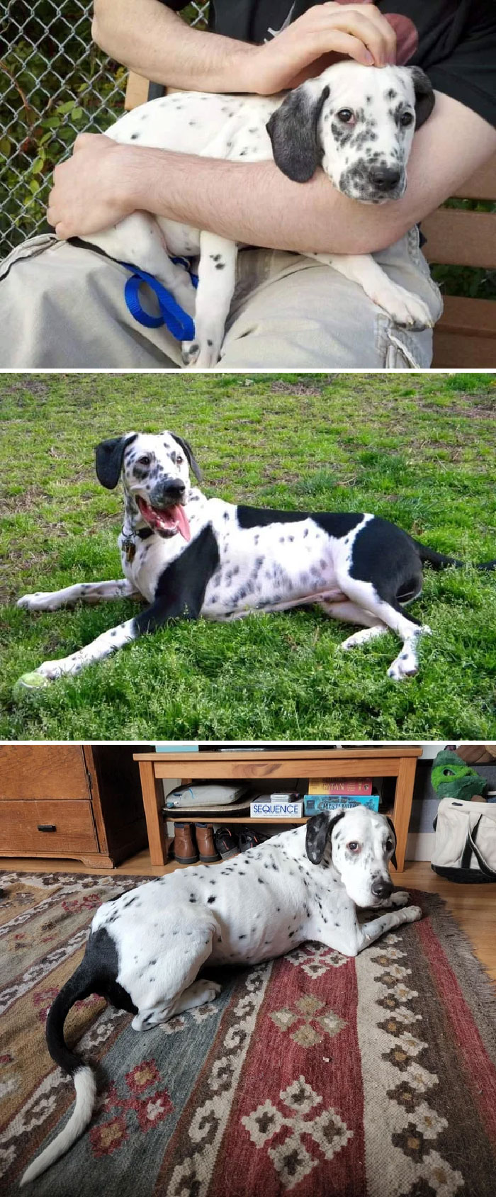 12 Weeks, 12 Months, 12 Years. Happy Birthday, Finn!