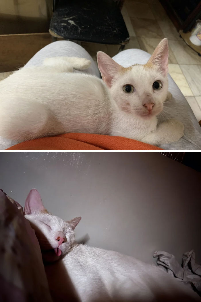 First Day vs. More Than A Year Later