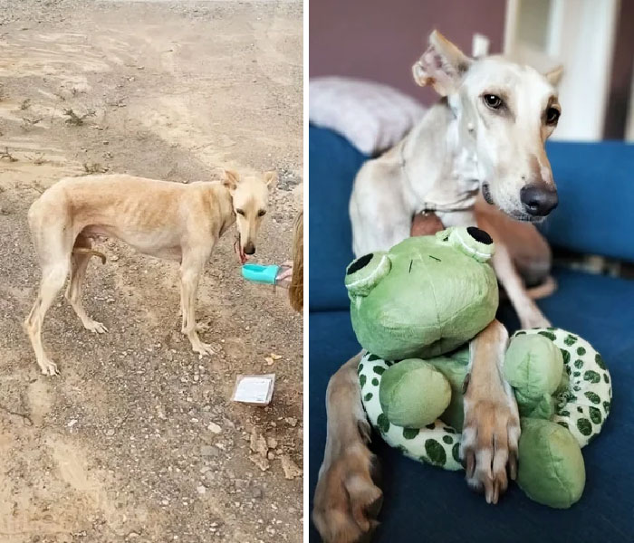 What A Difference A Short Time Can Make! Pauper ➡️ Prince