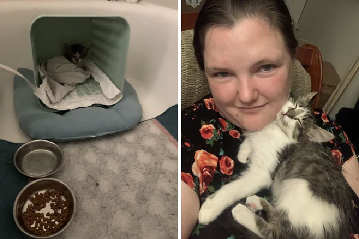 Hermes, Only A Few Weeks Apart