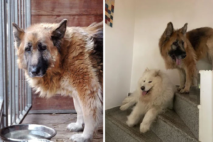 Before And A Year After