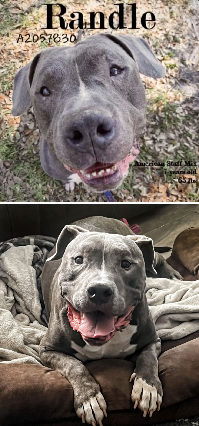 Still Happy After 3 Years