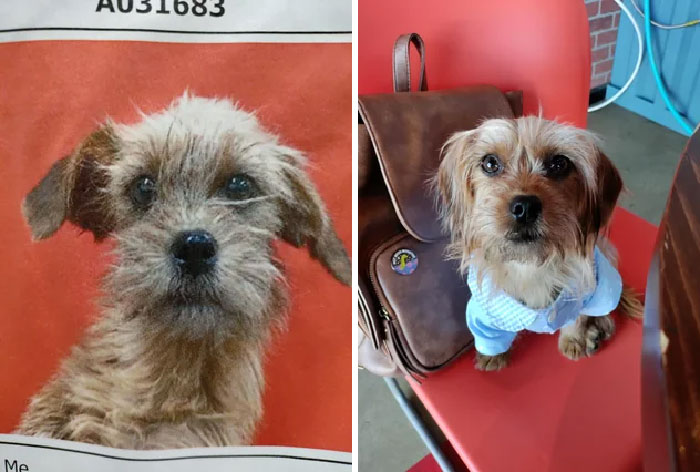 Bugs Mugshot From The Pound, And All Her Beauty After