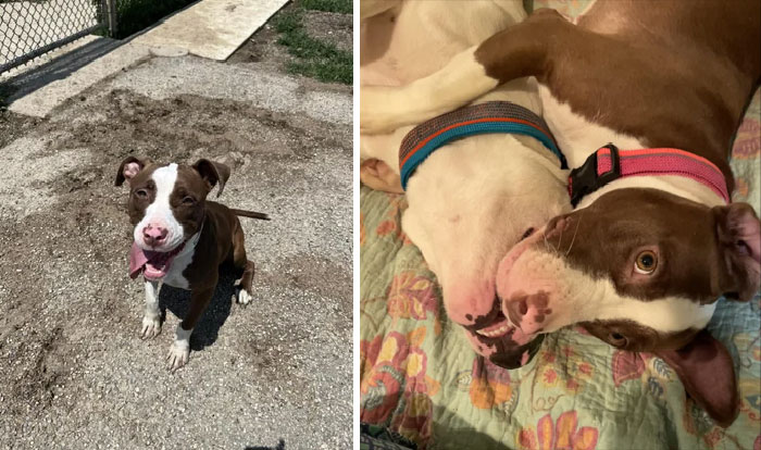 My Baby Boy Needed A Friend