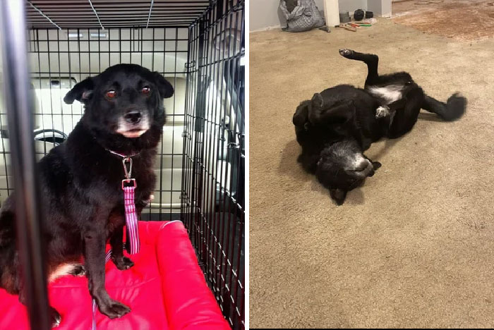 Shy And Unassuming To Sassy And Demanding, 4 Years Later