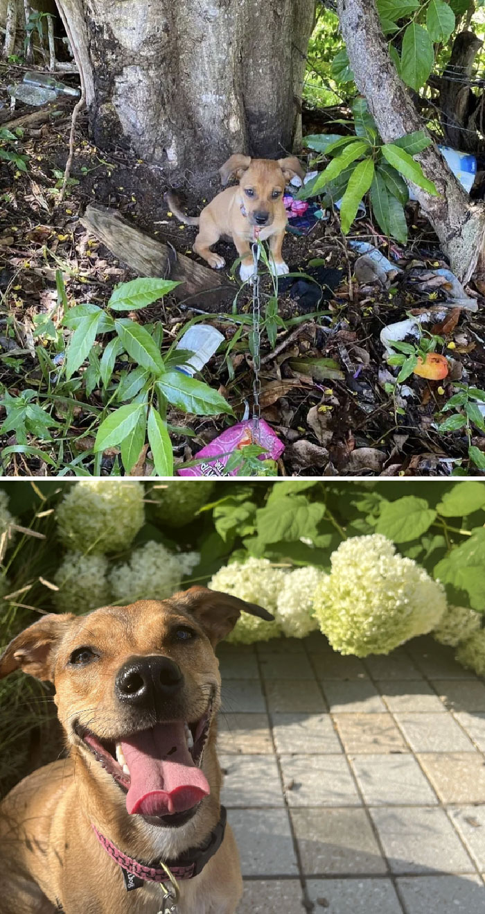 ¡De las calles de Yabacoa a nuestra casa!