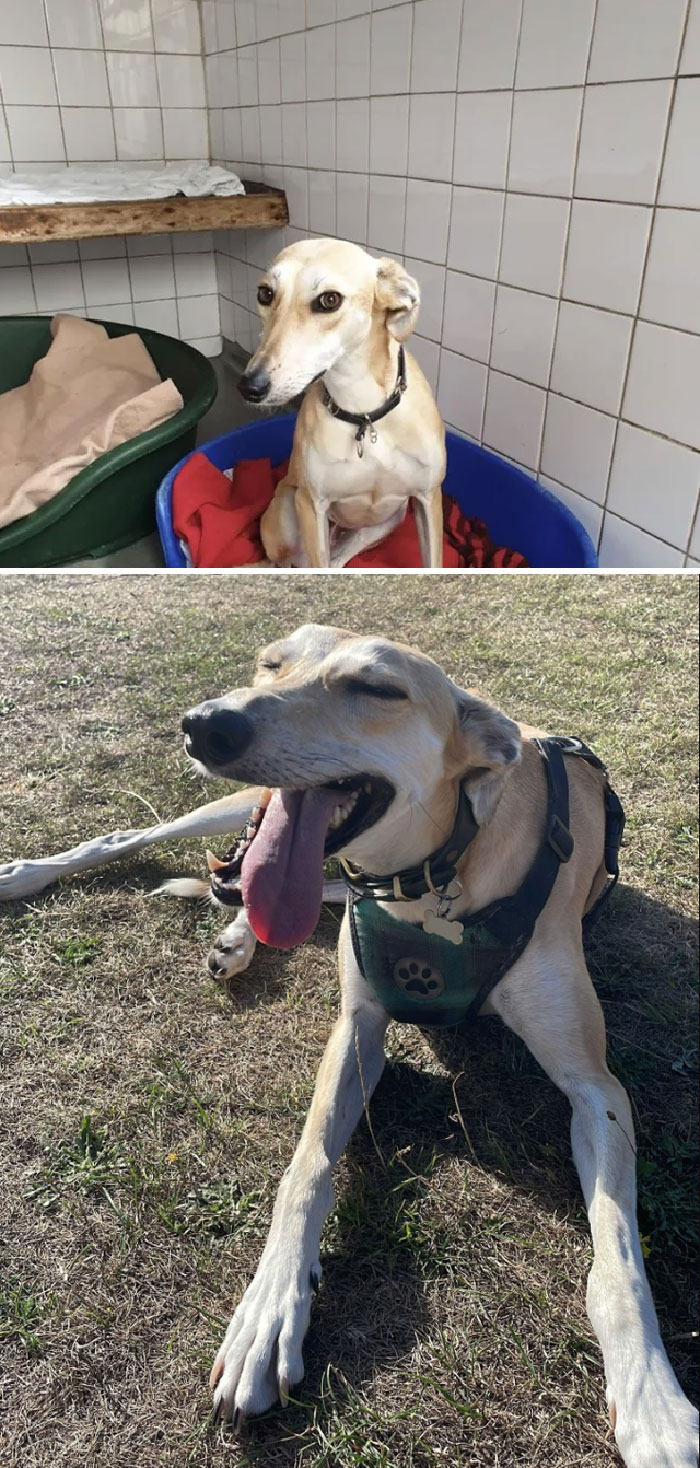 Day 1 V 2 Years Later