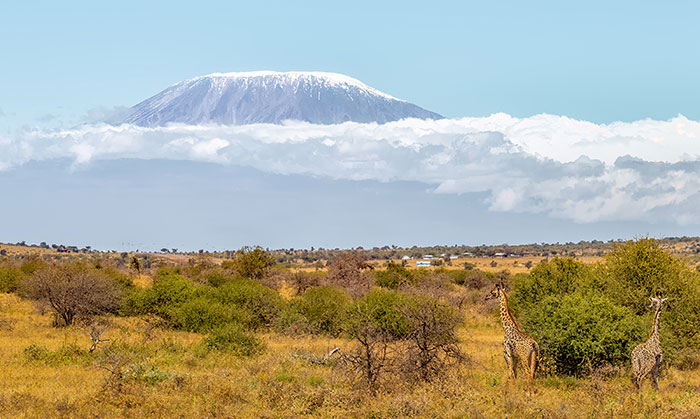 Photo of Mount Kilimanjaro