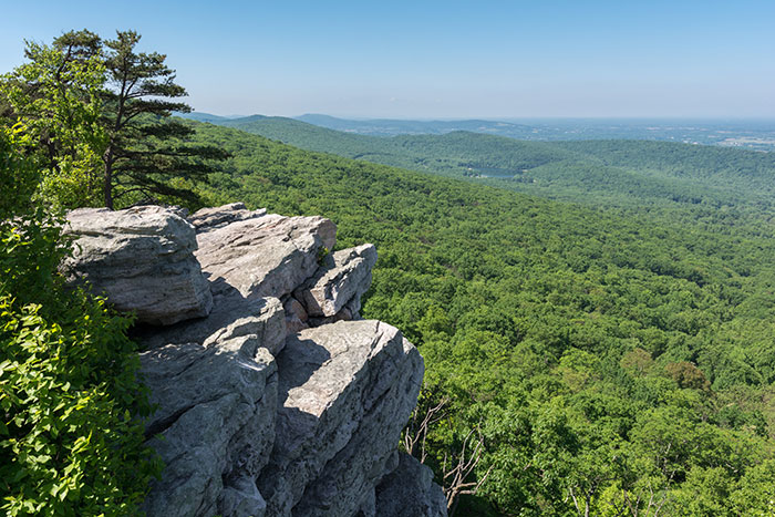 Photo of Appalachian Trail