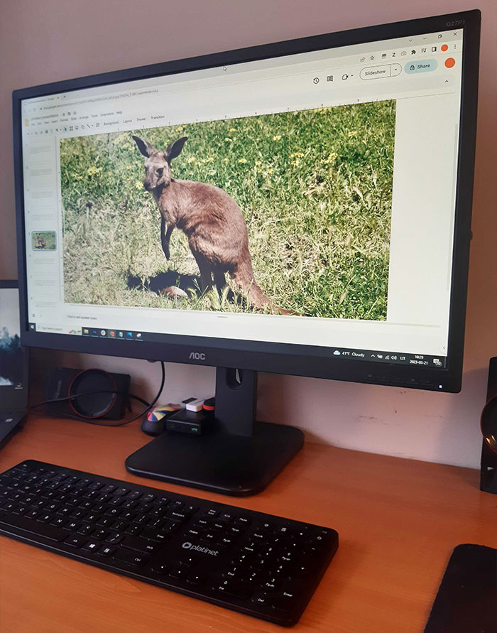 Boss Presents Employee's PowerPoints As His Own, So They Put A Revealing Photo Of The CEO's Daughter In One Of Them