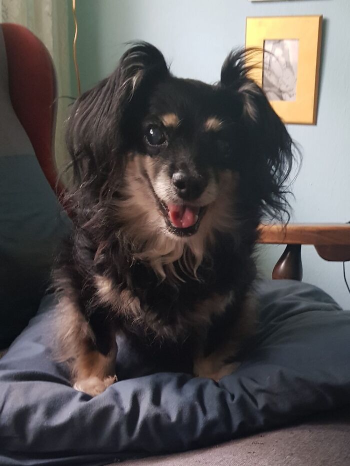 My Little Princess Buffy