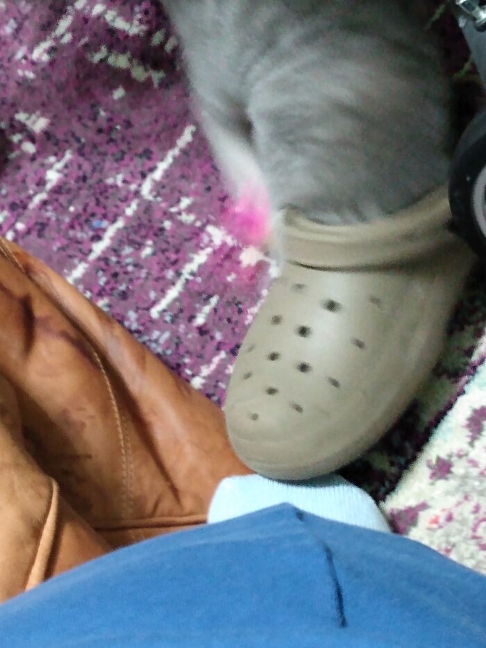 This Is Bouche Digging Her Mousie Toy Out Of My Shoe