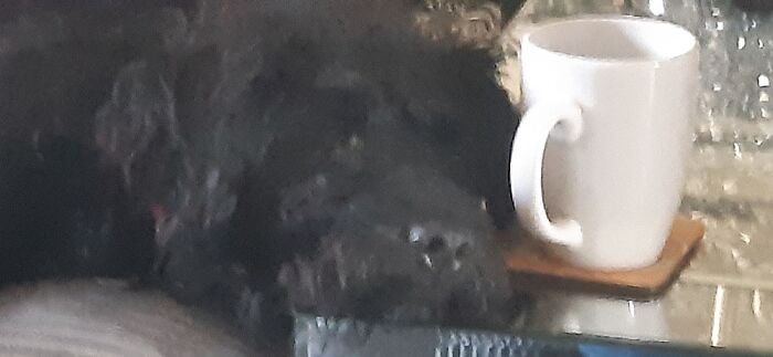 Simba(Again) He Loves A Cup Of Tea