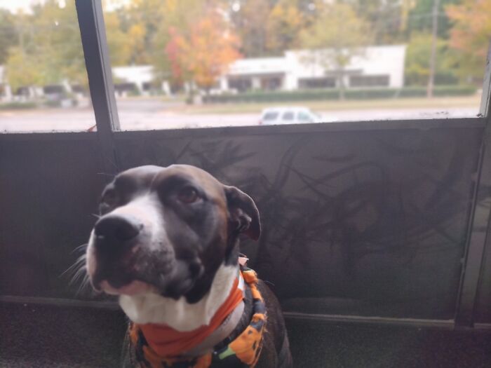 Chelsea, My Very Good Gurl 🧡