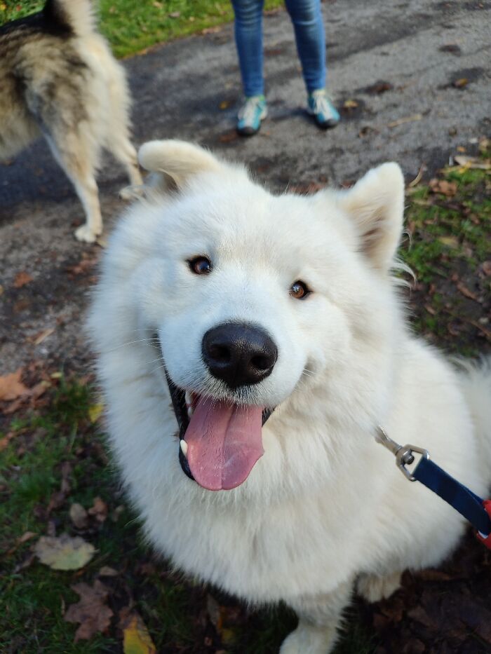 Happy Cloud Loki