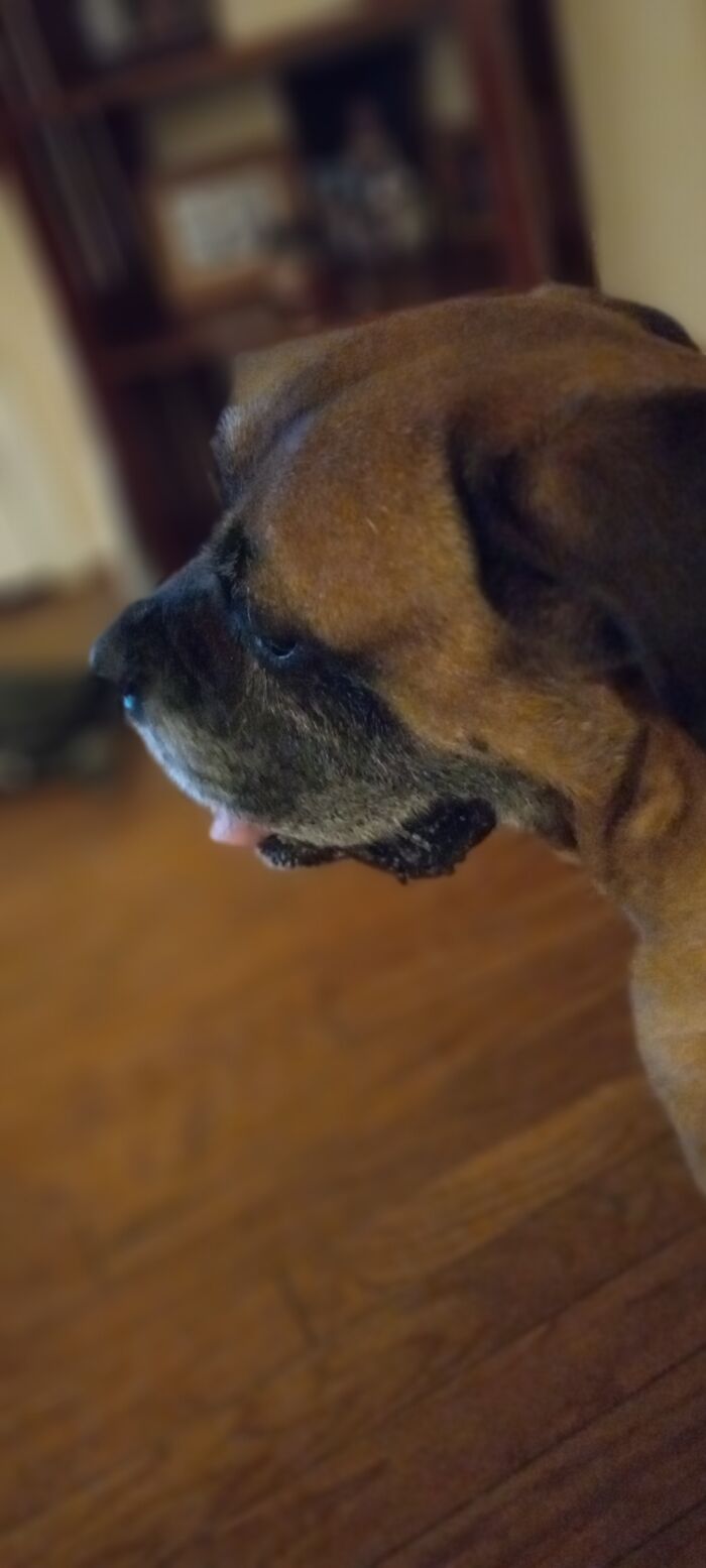 Big Sam's First Official Photo As Part Of The Family